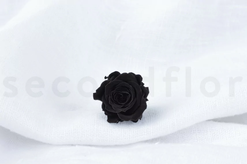 Preserved Princess Rose Black(x16)