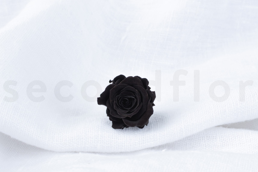 Rosa Princesa Preservada - Caja de 16 - Negro