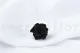 Rosa Princess stabilizzata Nero (x16) 1