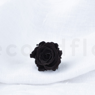 Princess Rose Preserved - Box of 16 - Black