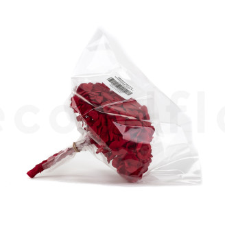 Preserved Hydrangea Kiara - Vibrant Red