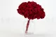 Konservierte Hortensie Rot 8