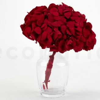 Preserved Hydrangea Red