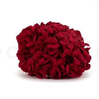 Hortensia stabilis&eacute; Rouge