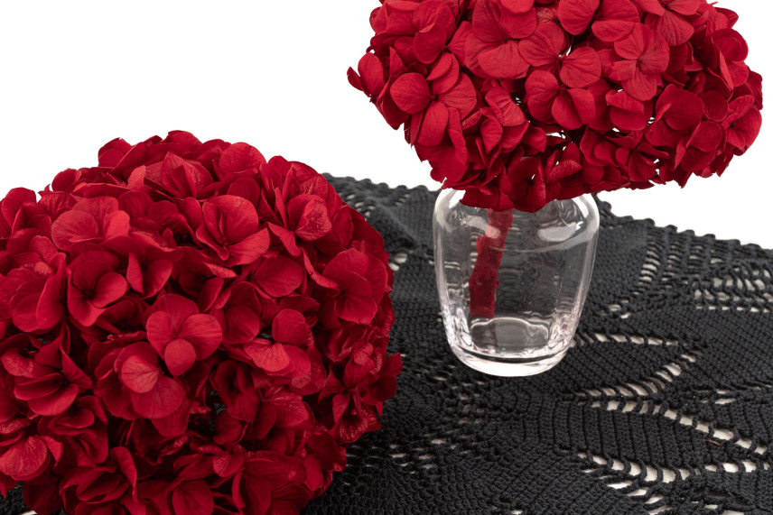Hortensie Konserviert Kiara - Vibrant Red
