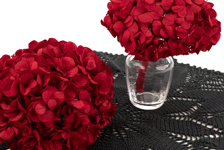 Hortensie Konserviert Kiara - Vibrant Red