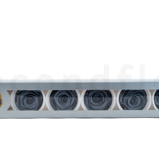 Rosa preservada Kiara XL - Caja de 6 - Night Shadow
