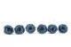Preserved Rose XL Dark Grey (x6) 4