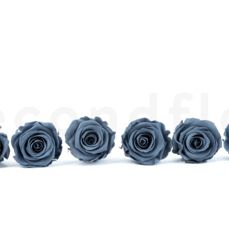 Rosa preservata Kiara XL - Scatola da 6 - Night Shadow