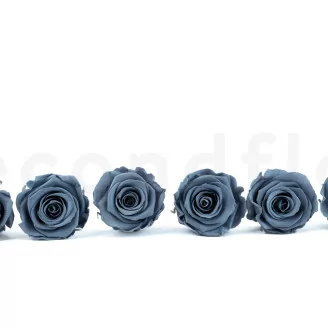 Rosa stabilizzata L Grigio Scuro (x6)
