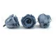 Rosa stabilizzata L Grigio Scuro (x6) 3