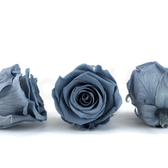 Rosa preservada Kiara XL - Caja de 6 - Night Shadow