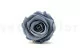 Preserved Rose XL Dark Grey (x6) 6