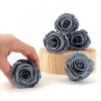Rosa stabilizzata L Grigio Scuro (x6)