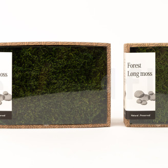 Musgo Longo preservado - Creabox M - Verde