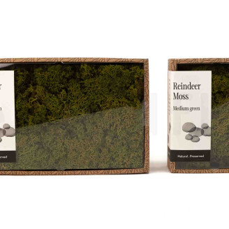 Islandmoos konserviert - Creabox M - Medium Green