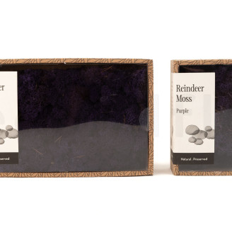 Lichene stabilizzato - Creabox M - Viola