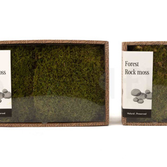 Mousse de Roche Stabilis&eacute;e - Creabox S - Vert 