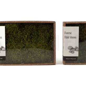 Hair Moss preservado - Creabox S - Light Green