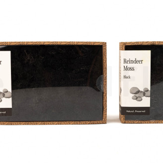 Lichene stabilizzato - Creabox S - Nero