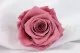 Rose stabilis&eacute;e XL Cherry Vintage (x5) 1