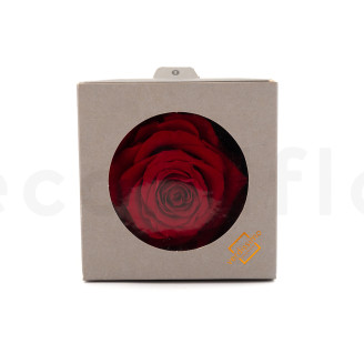 Rosa preservata Verdissimo XXL - Scatola da 1 - Red