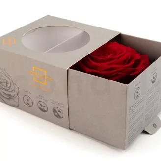 Konservierte Rose XXL Rot