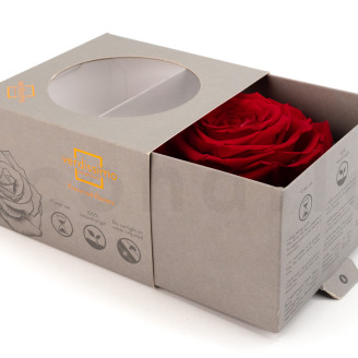 Rosa preservada Verdissimo XXL - Caja de 1 - Red