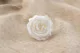 Rose stabilis&eacute;e M Blanc (x12) 1