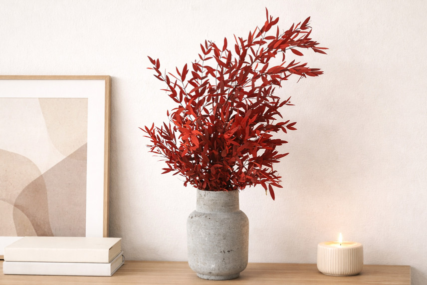 Konservierter Eukalyptus Parvifolia - Rot
