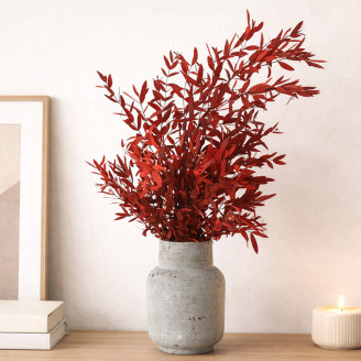 Konservierter Eukalyptus Parvifolia - Rot