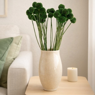 Craspedia stabilizzata - Mazzo - Eden Green