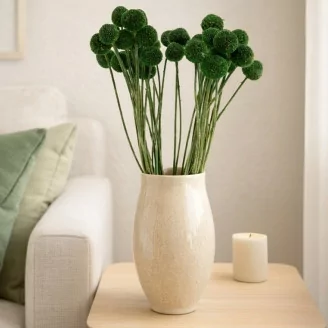 Preserved Billy Button Eden Green