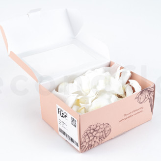 P&eacute;talos de Rosa Preservados - Blanco