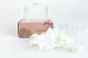 Preserved Rose Petals White 3