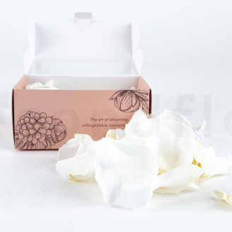 Petali di rosa stabilizzati - Bianco
