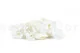 Preserved Rose Petals White 4