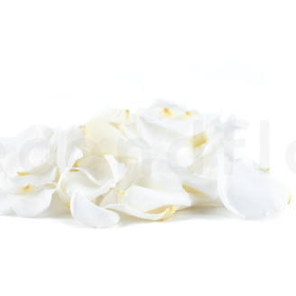 Petali di rosa preservati - Bianco