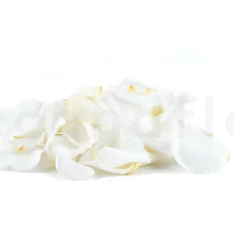 Petali di rosa stabilizzati - Bianco