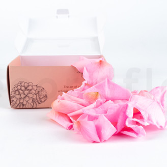 Rosenbl&auml;tter stabilisiert - Rosa