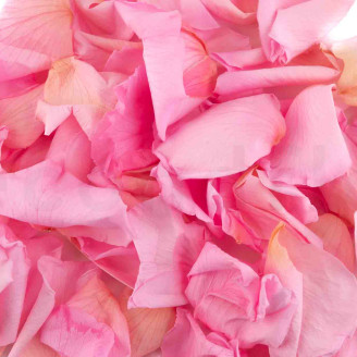 P&eacute;talos de Rosa Preservados - Rosa