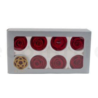 Preserved rose Kiara L - Box of 8 - Vibrant Red