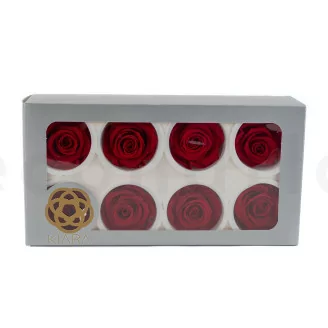 Rose stabilis&eacute;e L Rouge (x8)