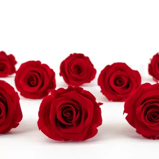 Rose stabilis&eacute;e L Rouge (x8)