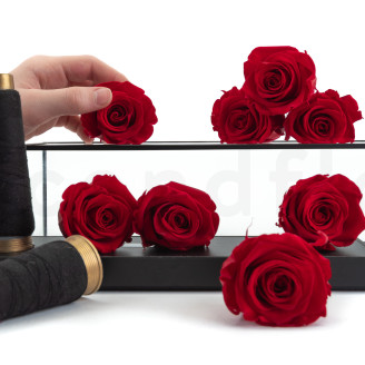 Preserved rose Kiara L - Box of 8 - Vibrant Red