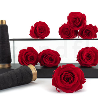 Stabilized rose Kiara L - Box of 8 - Vibrant Red