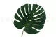 Monstera artificial - Ign&iacute;fuga 4