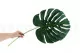 Monstera artificielle - Ignifug&eacute;e 3