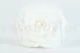 Rosa preservada XXL Blanco 7