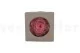 Konservierte Rose XXL Pastellrosa 5